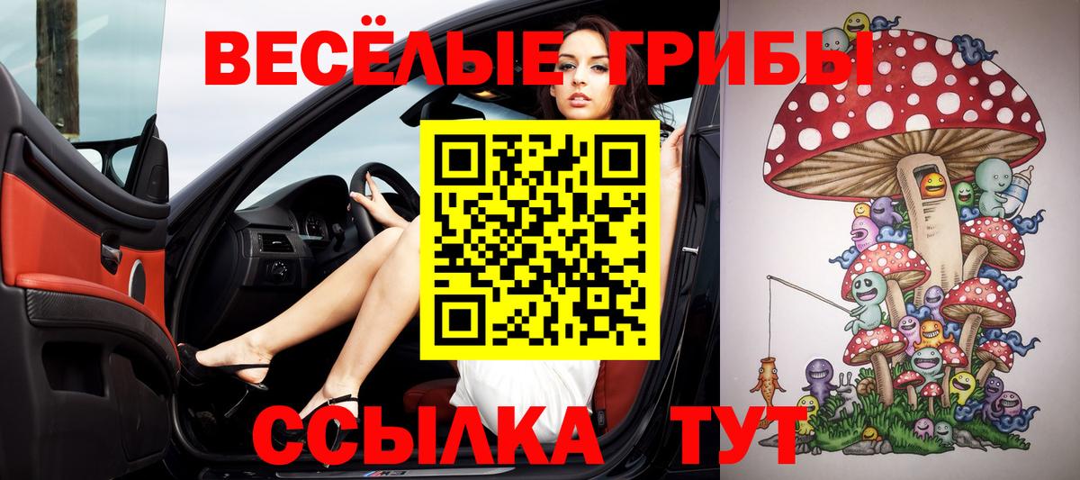 Галлюциногенные грибы GOLDEN TEACHER  Вход с VPN  Пугачёв 